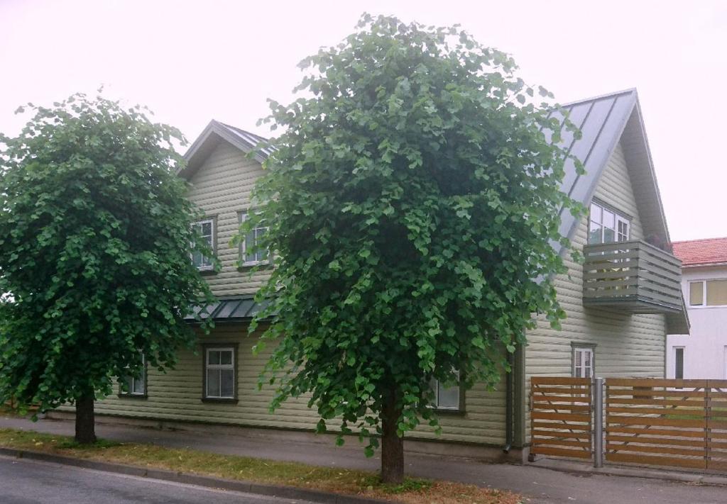 派尔努Rönne Majutus的两棵树在房子前面