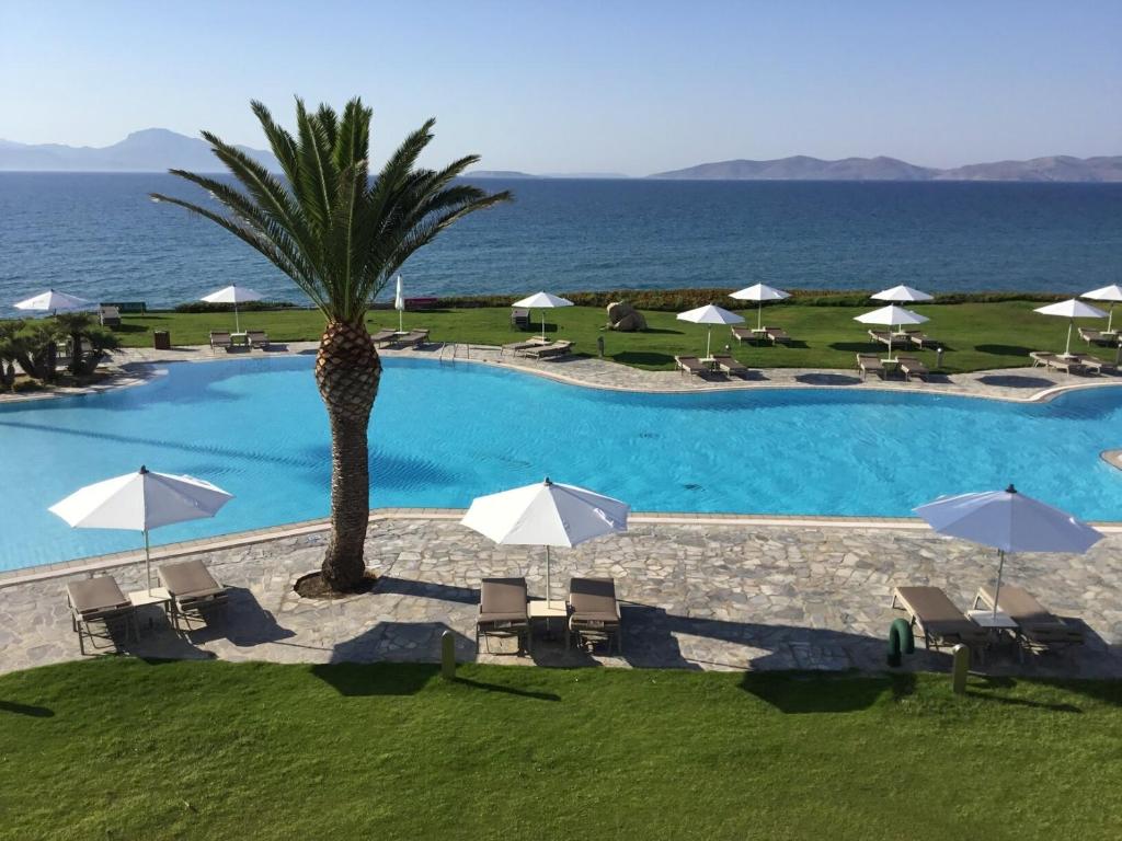 马斯蒂查里Neptune Luxury Resort的一个带棕榈树、椅子和遮阳伞的游泳池