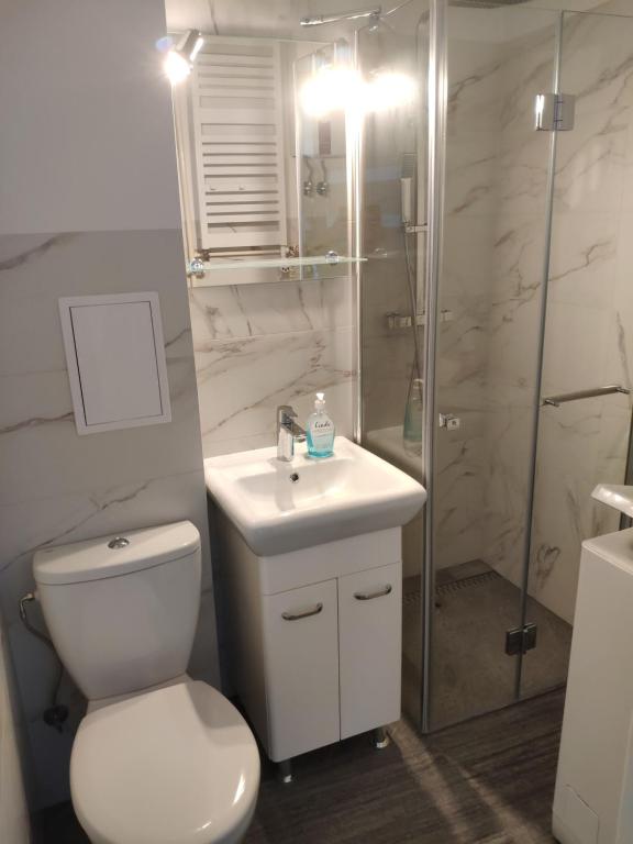 索波特Sopot Centrum的浴室配有卫生间、盥洗盆和淋浴。