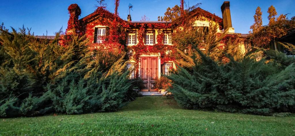 科洛尼亚-德尔萨克拉门托德里蒙纳罗斯酒店的享有带圣诞灯的房屋外部景色