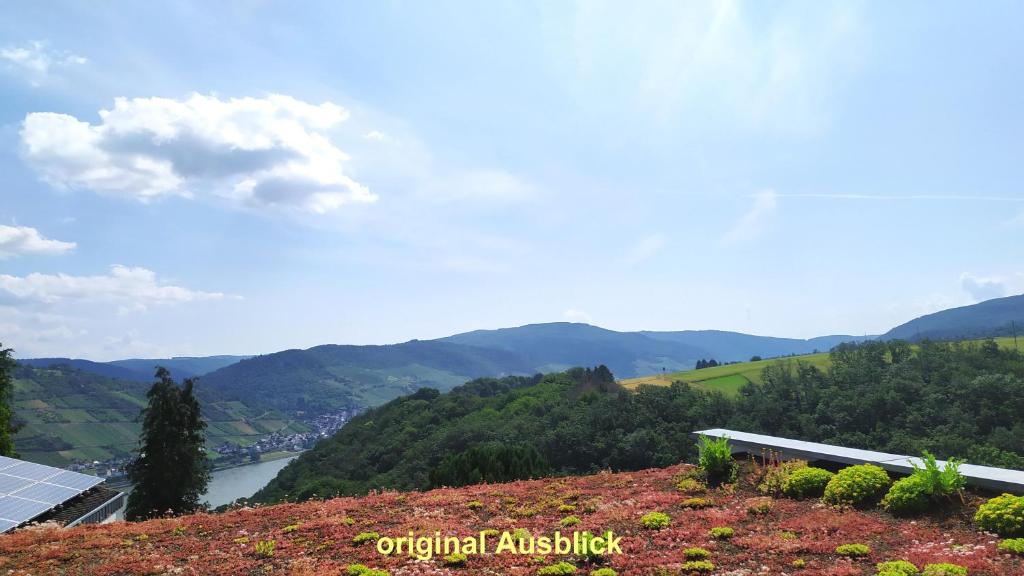 巴哈拉赫Schau-Rhein#2 - on Top of Bacharach, Rhineview的山丘上享有山谷美景,设有房屋