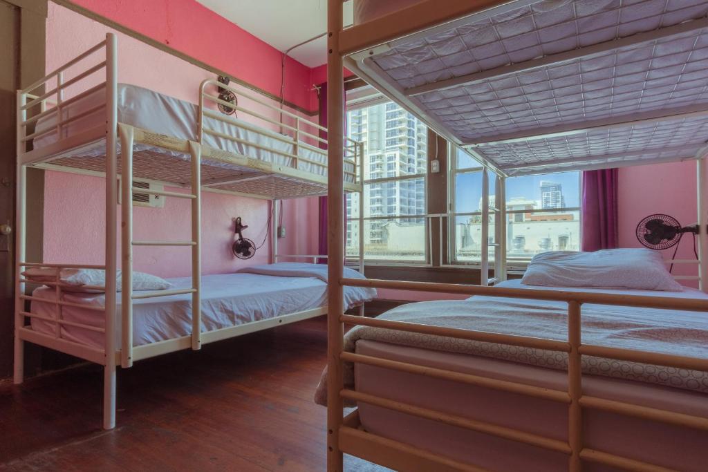Lucky D's Youth and Traveler's Hostel客房内的一张或多张双层床