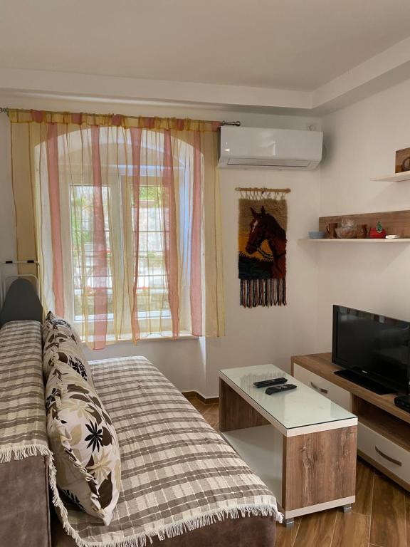 帕里斯特Apartment Jadran的带沙发和平面电视的客厅