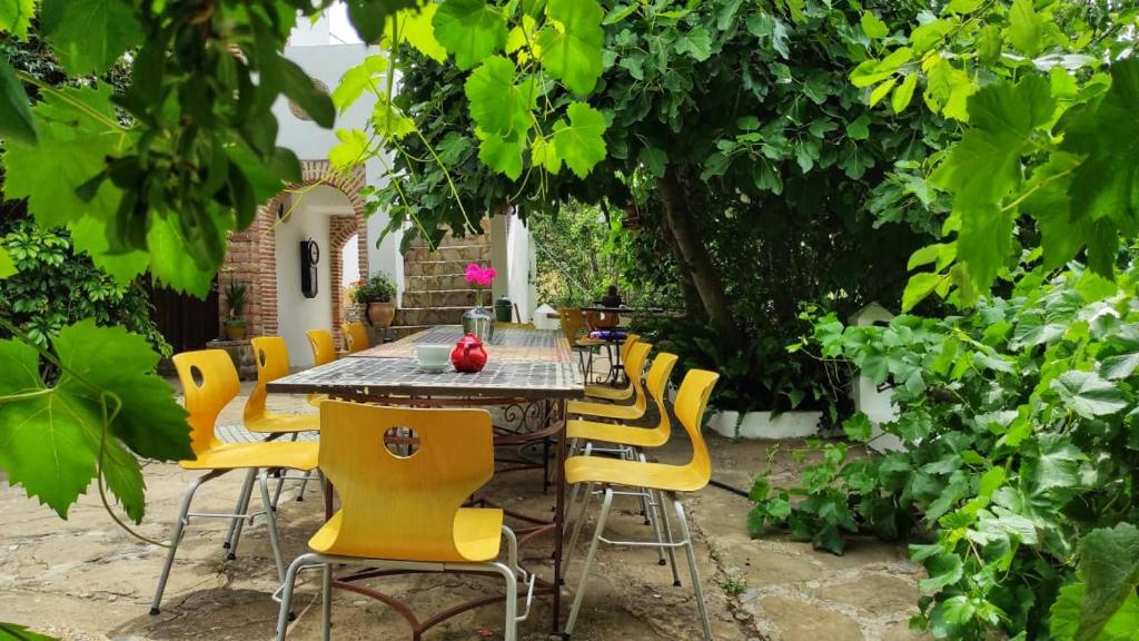 舍夫沙万达尔瓦达酒店的花园里的一张桌子和黄色的椅子