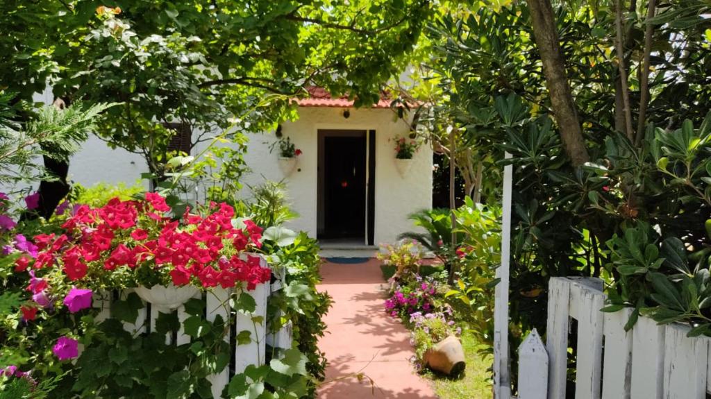 普拉亚·阿马勒科尔特阿尔玫瑰住宿加早餐酒店的一座花园,花园内种有粉红色的花卉和白色的围栏