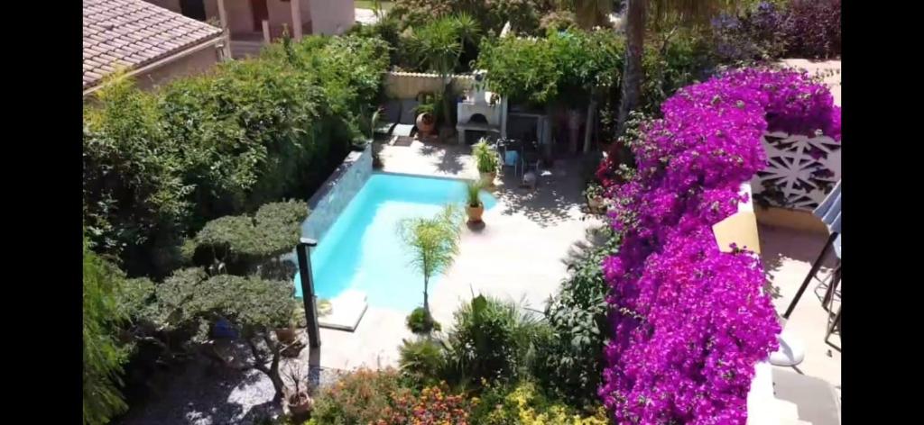 拉隆德莱丝莫里斯chez Muriel et Yves的紫色花卉游泳池的顶部景色