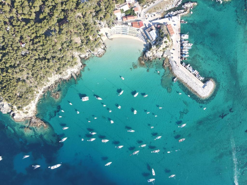 圣多米诺卡拉德勒阿勒内度假屋的海港的空中景色,水中有船只
