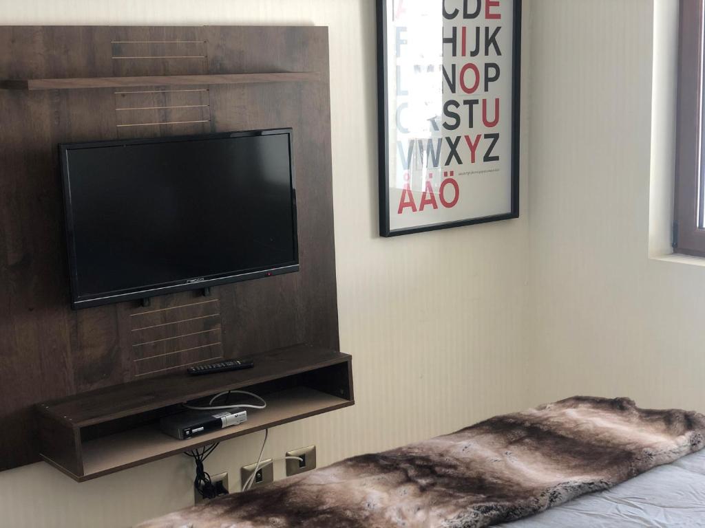 巴耶内瓦Apartment Valle Nevado的客厅设有壁挂式平面电视。
