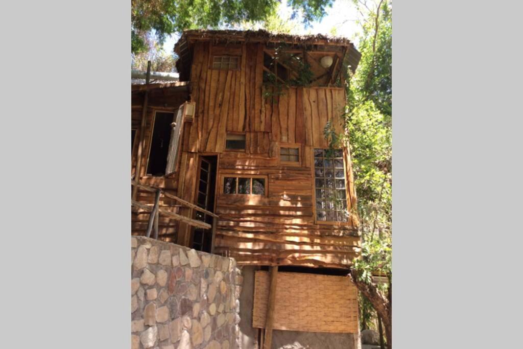 派瓦诺La Casa entre los Árboles en el Valle de Elqui Montegrande的墙上的大木房子