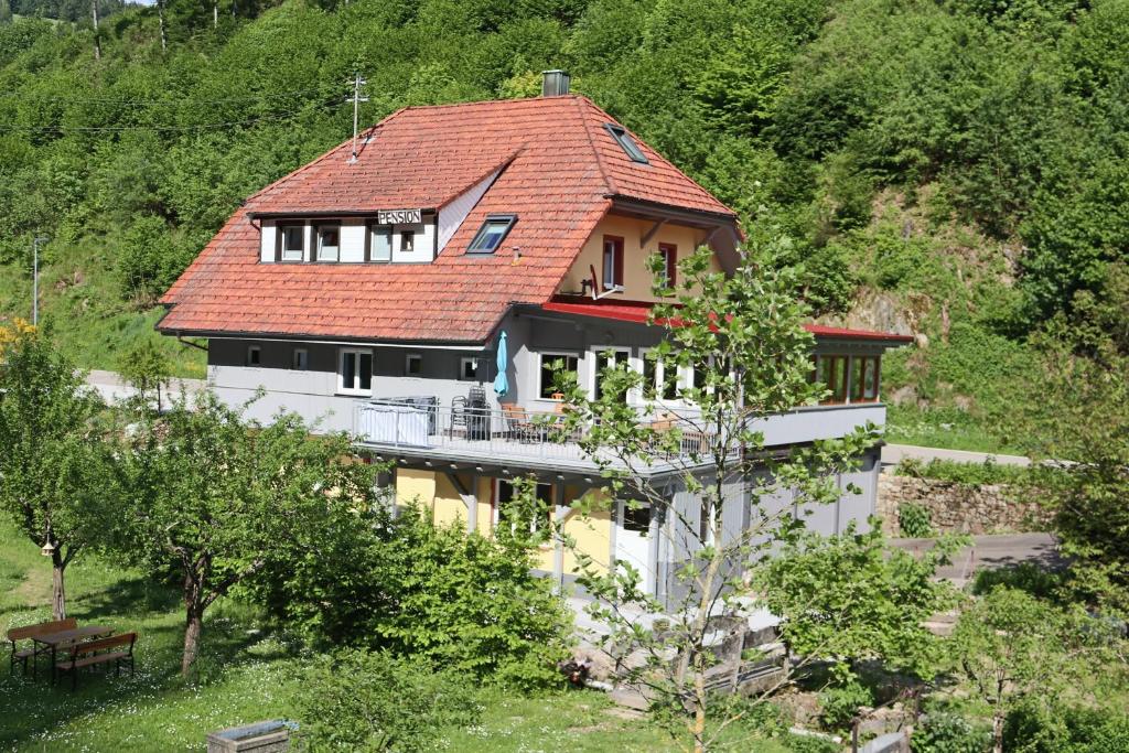 Kleines WiesentalHaus Belchenwiese的山坡上一座红色屋顶的房子