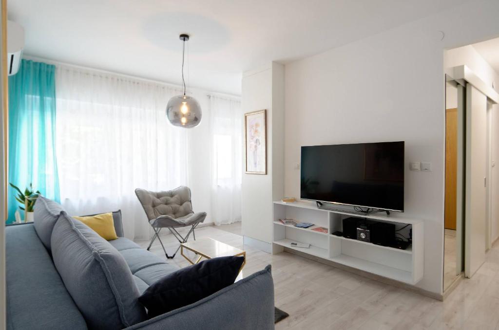 查科韦茨Maximus的客厅配有蓝色的沙发和平面电视。