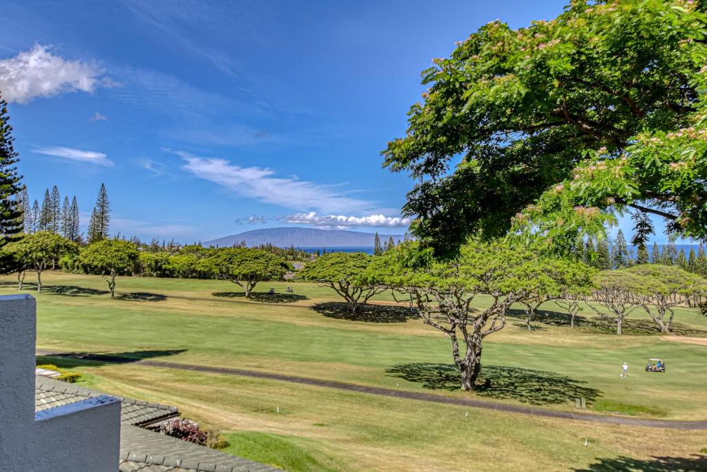 卡哈纳Kapalua Golf Villas 16V3的绿地中间的树