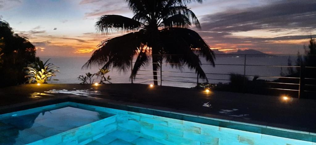 普纳奥亚PACIFIC VIEW Homestay的游泳池,晚上可欣赏到海景