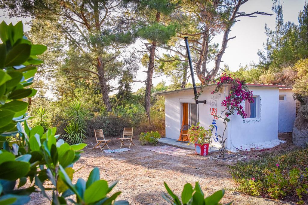 塞奥洛戈斯Drolma Ling Nature Cabins的白色的小房子,带两把椅子和鲜花