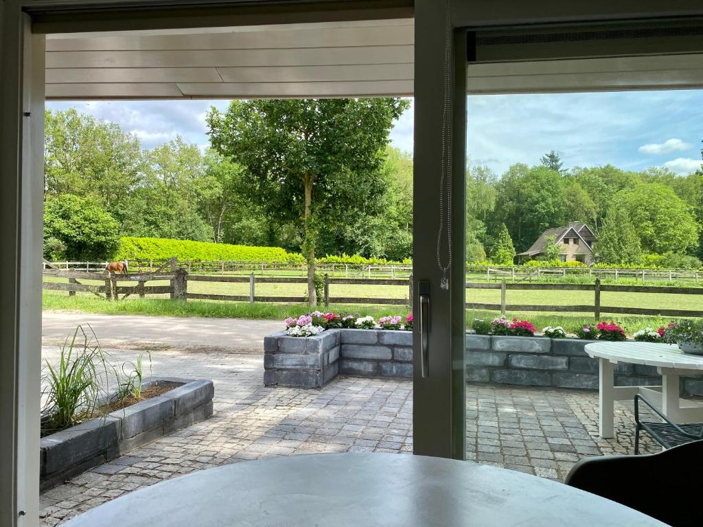 恩斯赫德Overnachting Vanjewelste的庭院窗户享有花园的景致。