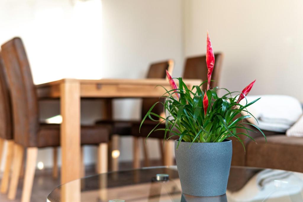 布莱Haus Hanghuhn的玻璃桌上装着红色花的花瓶