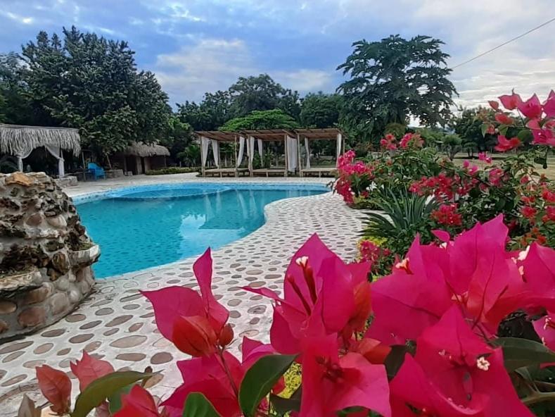 比利亚维哈San José Tatacoa的游泳池前有粉红色的花朵