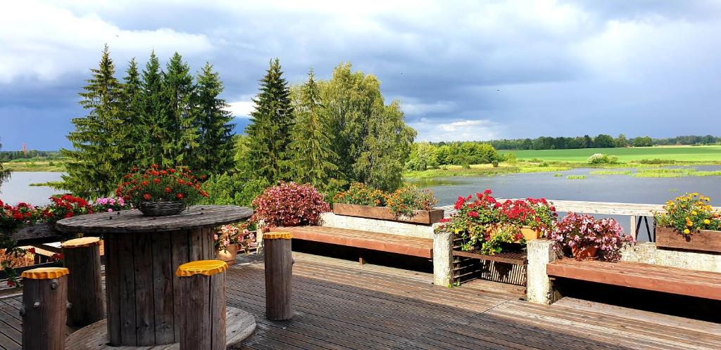 Ilmatsalu伊玛萨露汽车旅馆的木甲板上种满了鲜花,设有桌子和湖泊