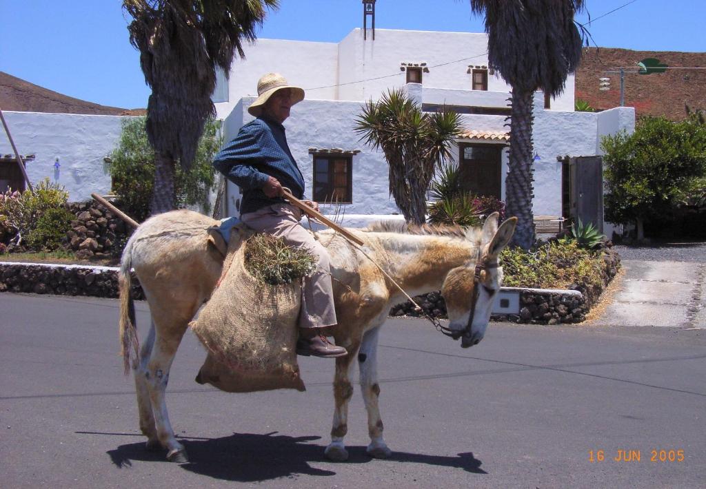 瓜蒂萨Finca Lanzarosy的女人坐在驴上