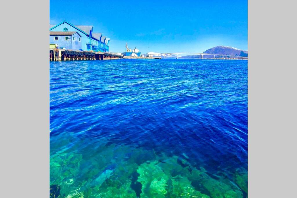 公寓 酒店 租车 sentral studio-leilighet (公寓),苏特兰(挪威)踊葺