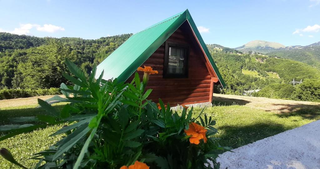 莫伊科瓦茨Etno selo ŽURIĆ的小屋拥有绿色的屋顶和鲜花