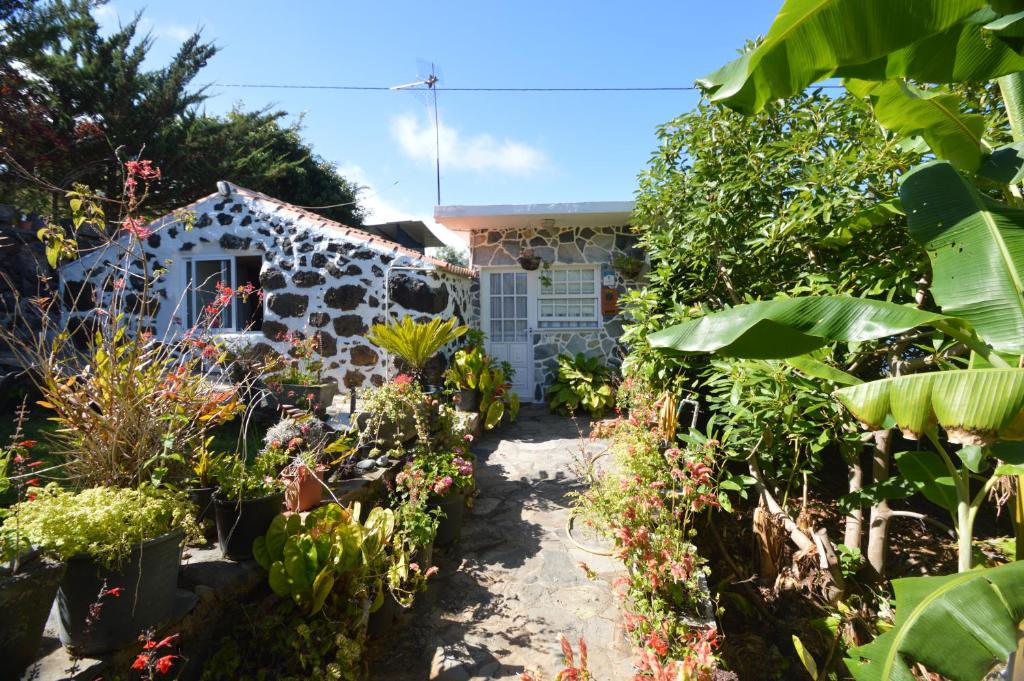 蒂哈拉费伊内斯度假屋的植物屋前的花园