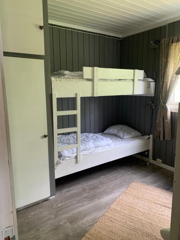 SurtebergHalsteinsplassen的一间卧室配有两张双层床。