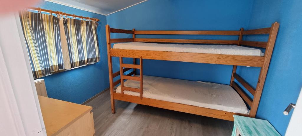 科克赛德Surfin的蓝色墙壁的客房内设有两张双层床。