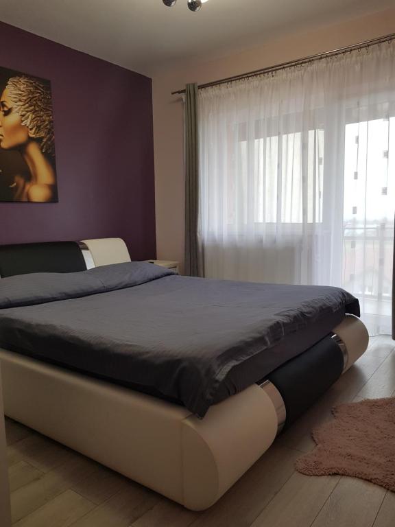 萨图马雷Arrami Aparthotel的卧室内的一张大床,设有窗户