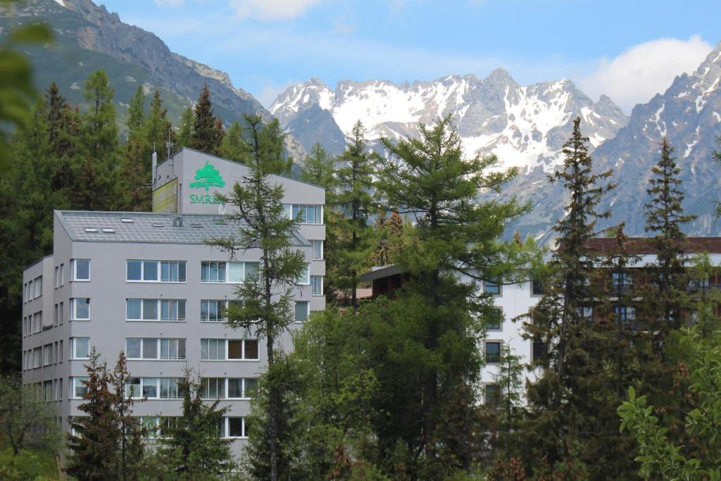 什特尔布斯凯普莱索Strbske Pleso Smrek Penthouse Apartment的山前有树木的建筑