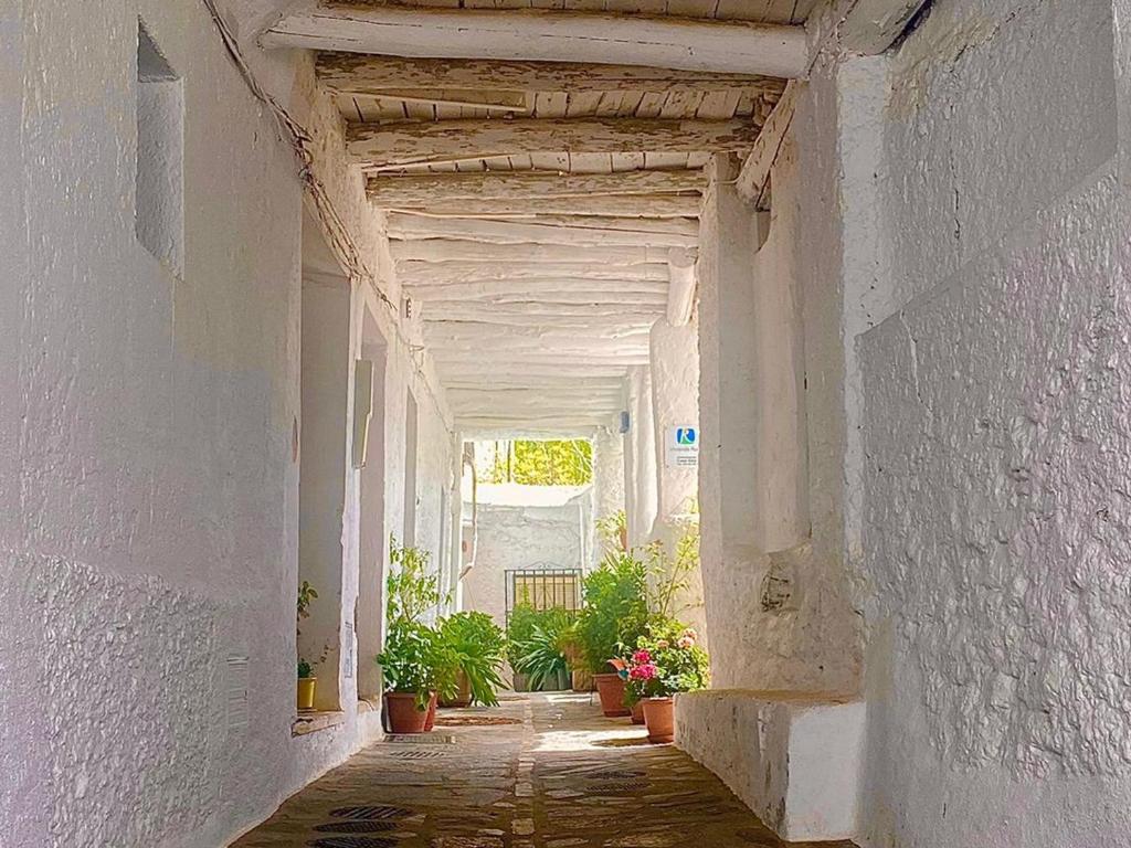潘潘埃拉Casa Rural Vata 1 y 2 Pampaneira Alpujarra的建筑里空荡荡的走廊,有盆栽植物