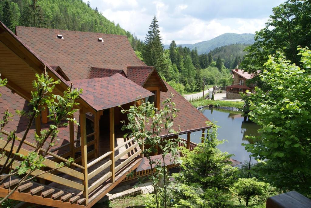 塔塔里夫Hotel Dykyi Med的山间小屋,有湖泊和树木
