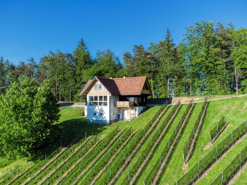 EibiswaldFerienhaus Wagnerfranzl的山丘上草场的房子