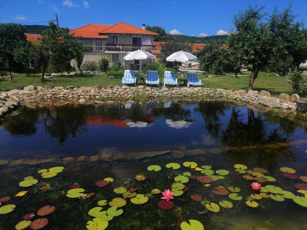 VezenkovoCalla Retreat的房屋前的池塘,池边摆放着椅子和百合花