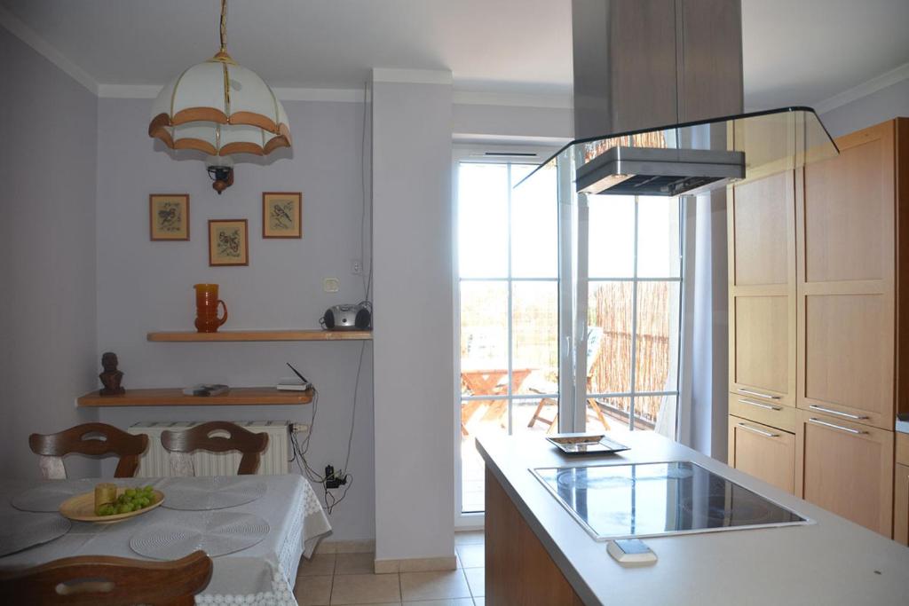 TenczynekSOSNOWA 23的厨房配有桌子和玻璃台面