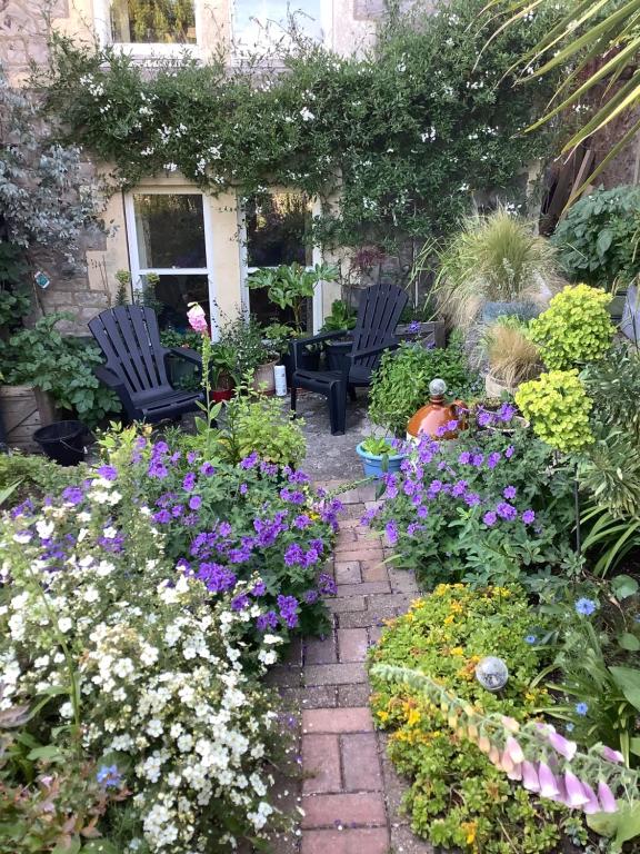 滨海韦斯顿Garden apartment的花园设有两把椅子和一些鲜花