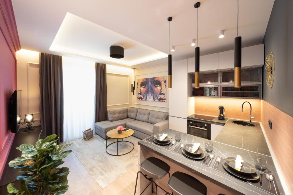 里耶卡Premium Apartments with balcony的厨房和带沙发的客厅