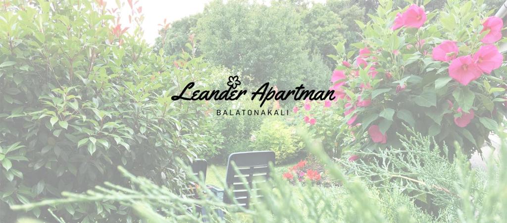 鲍洛托瑙考利Leander Apartman Balatonakali的一张花园的照片,花园内摆放着粉红色的花卉和椅子