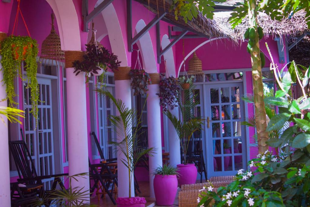 南威Nungwi Roses的前面有植物的粉红色建筑