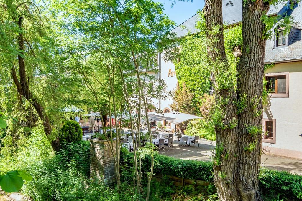 维尔茨Aux Tanneries de Wiltz的从树上可欣赏到旅馆外部的景色