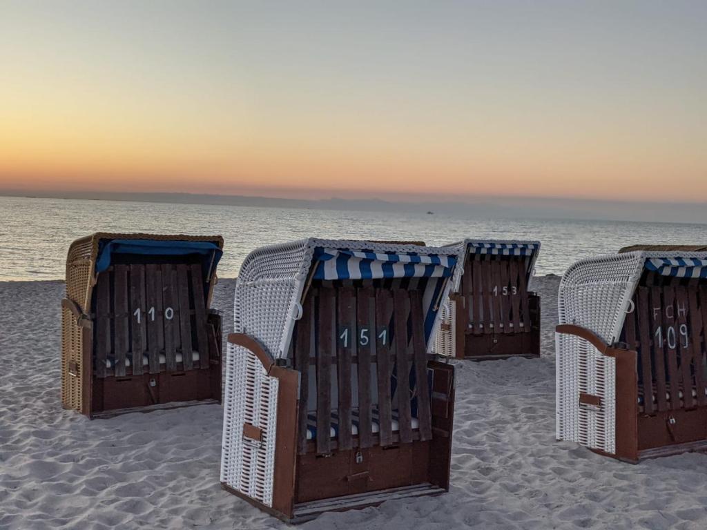 奥茨塞巴德·迪尔哈根Amare Dierhagen的海滩上的一排沙滩椅