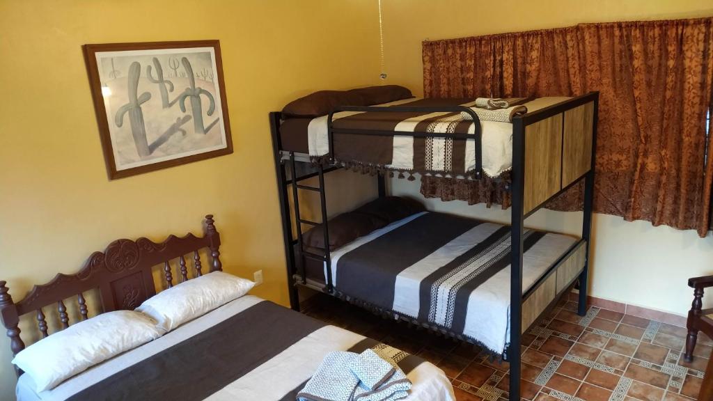 卡特马科Posada Los Chaneques Catemaco的客房内的2套双层床