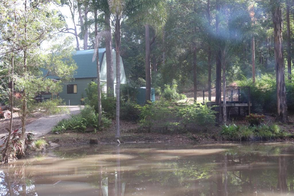 LandsboroughLAKE VIEW CHALET Australia Zoo close by的水体旁树林中的房屋