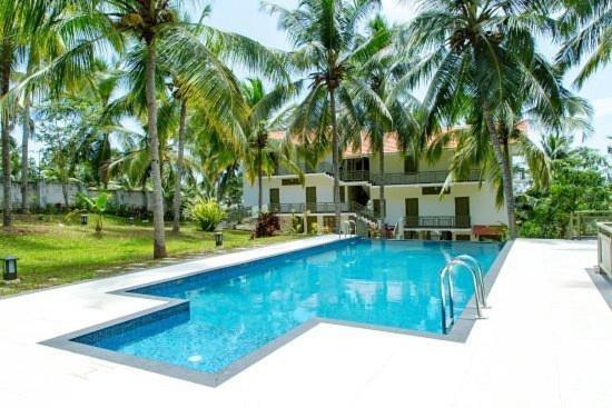 特里凡得琅Aanandakosha Ayurveda Retreat的棕榈树屋前的游泳池