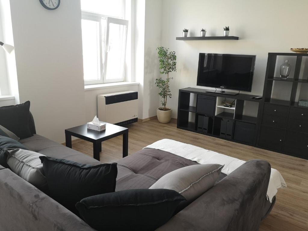 斯拉尼Fine apartment in centrum of Slaný with Aircondition的带沙发和平面电视的客厅