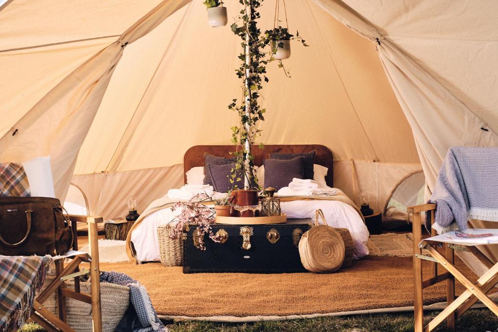 坎特伯雷The Quaives - Cottages & Glamping的帐篷配有一张床和一张桌子