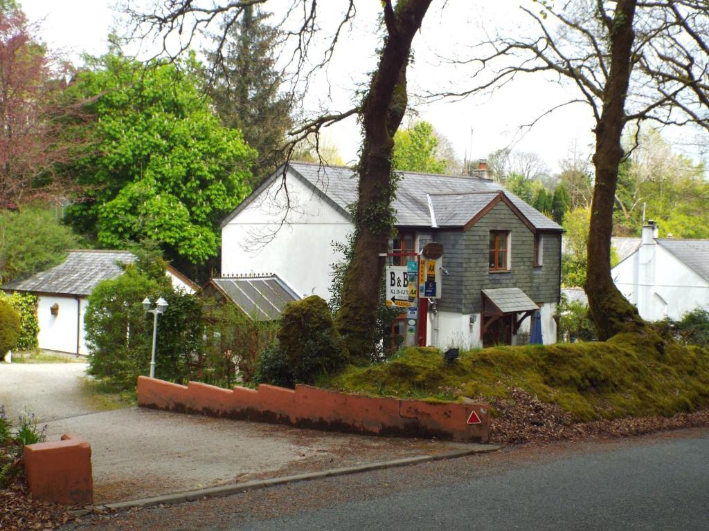 North Hill啄木鸟住宿加早餐旅馆的前面有一棵树的小白色房子