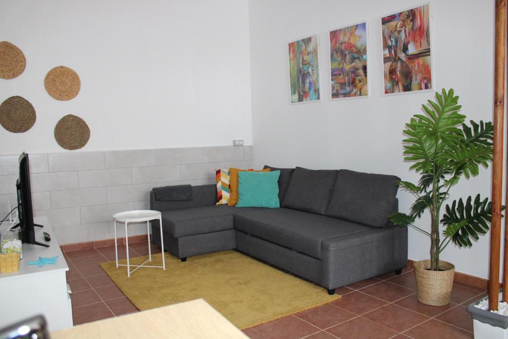 拉桑塔LOFT PINOPE的客厅配有灰色沙发和植物