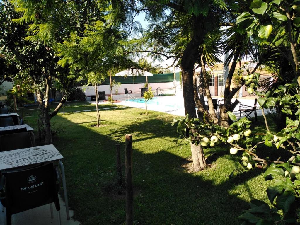 新文达什MIX inn的绿树成荫的庭院和游泳池