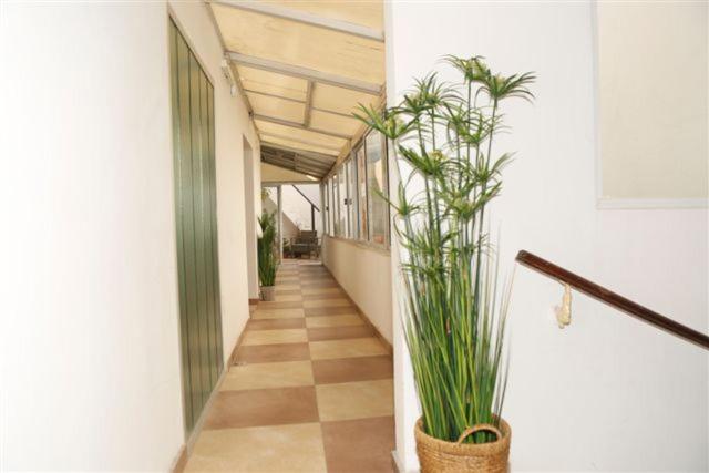 罗萨里奥Real Ros Hostel的楼内带有盆栽的走廊